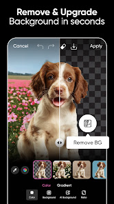 Picsart Photo & Video Editor
