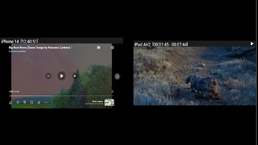 Screenshot 13