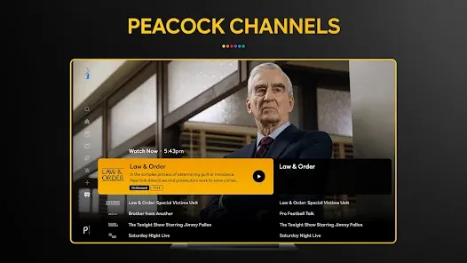 Screenshot 30