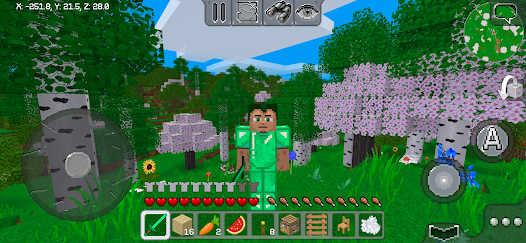 Screenshot 13