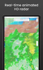 Screenshot 19