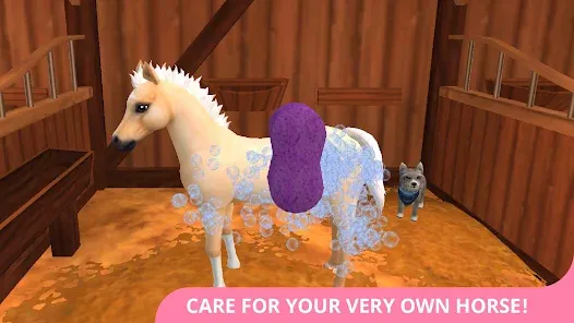 Screenshot 17