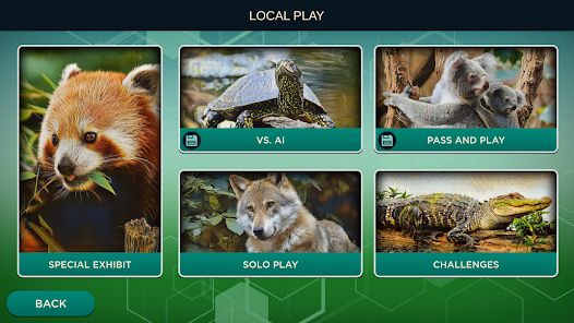 Screenshot 17