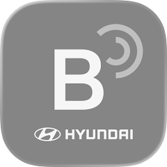 Hyundai Bluelink Europe (Old)