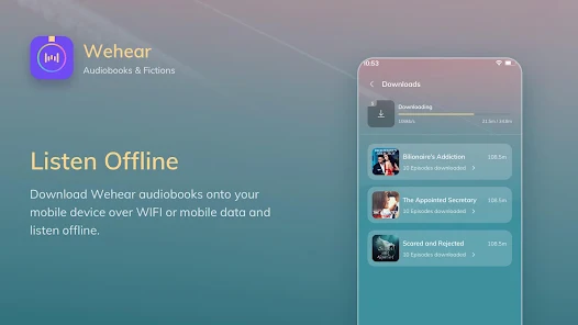 Screenshot 12