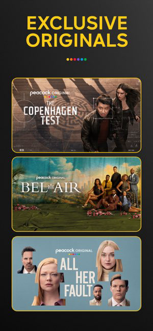 Screenshot 27