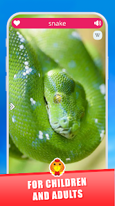 Screenshot 25