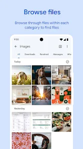 Files by Google screenshot 2