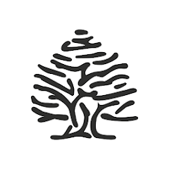 Springfield: Moda hombre/mujer