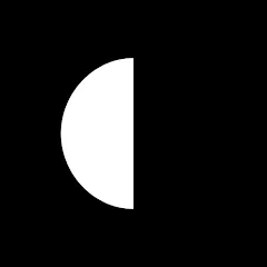 Paybis Kryptowährung Geldbörse