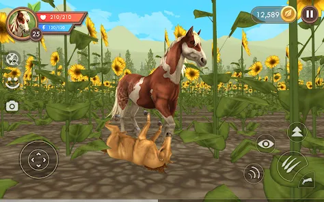 Screenshot 9