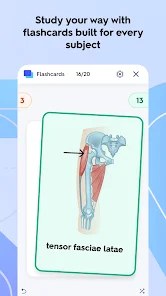 Quizlet screenshot 2
