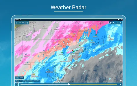 Screenshot 19
